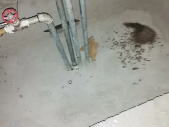 怀来卫生间测漏水价格明细